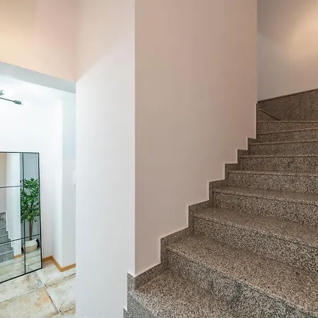 Three Lilies * 普罗夫迪夫